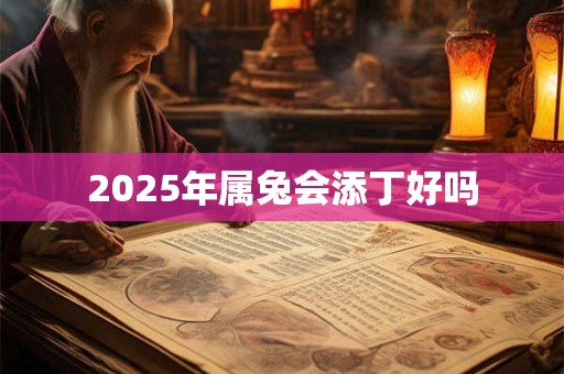 2025年属兔会添丁好吗 2025年属兔会添丁好吗