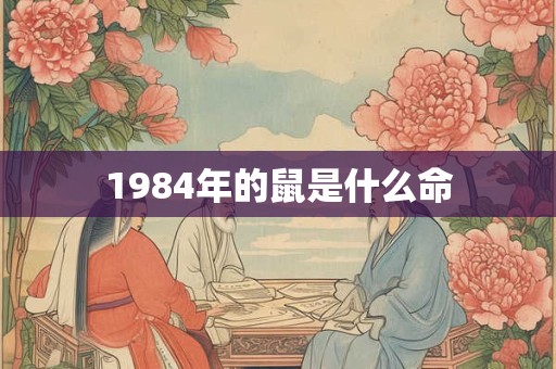 1984年的鼠是什么命 1984年的鼠是什么命