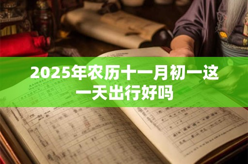 2025年农历十一月初一这一天出行好吗