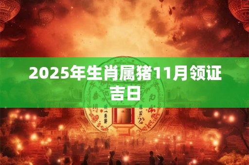 2025年生肖属猪11月领证吉日 2025年生肖属猪11月领证吉日
