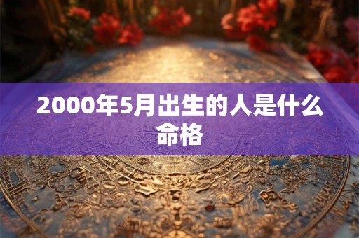 2000年5月出生的人是什么命格 2000年5月出生的人是什么命格