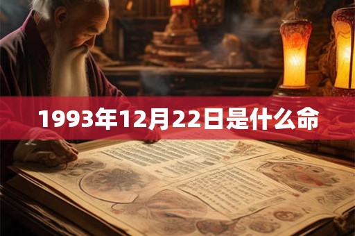 1993年12月22日是什么命 1993年12月22日是什么命