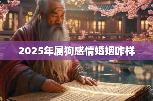 2025年属狗感情婚姻咋样 2025年属狗感情婚姻咋样