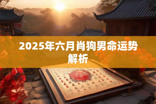 2025年六月肖狗男命运势解析