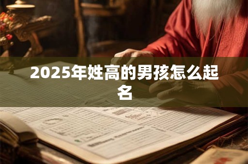 2025年姓高的男孩怎么起名