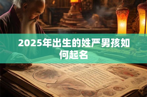 2025年出生的姓严男孩如何起名 2025年出生的姓严男孩如何起名