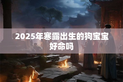 2025年寒露出生的狗宝宝好命吗 2025年寒露出生的狗宝宝好命吗