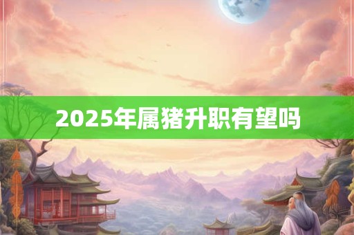 2025年属猪升职有望吗