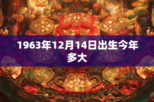 1963年12月14日出生今年多大 1963年12月14日出生今年多大