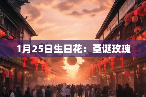 1月25日生日花:圣诞玫瑰 1月25日生日花:圣诞玫瑰
