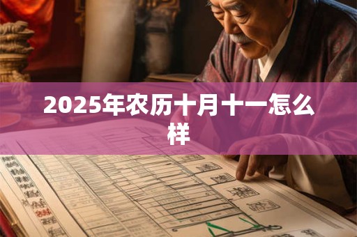 2025年农历十月十一怎么样 2025年农历十月十一怎么样