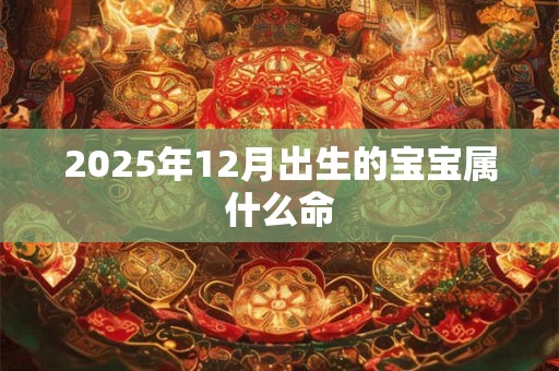 2025年12月出生的宝宝属什么命 2025年12月出生的宝宝属什么命