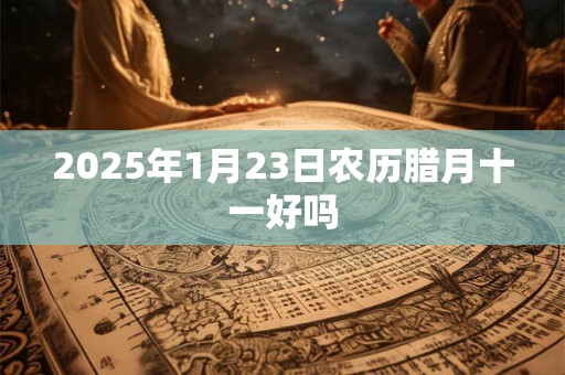 2025年1月23日农历腊月十一好吗