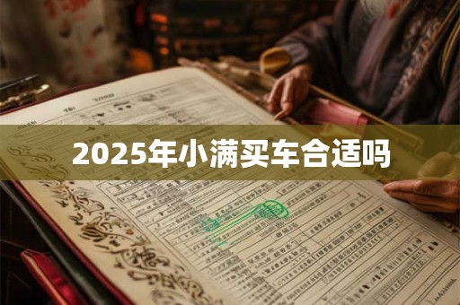 2025年小满买车合适吗 2025年小满买车合适吗