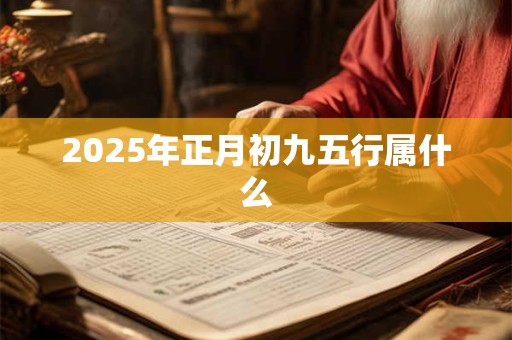 2025年正月初九五行属什么