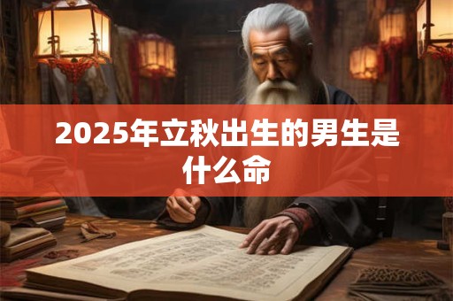 2025年立秋出生的男生是什么命