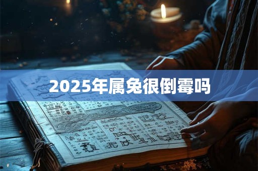2025年属兔很倒霉吗 2025年属兔很倒霉吗