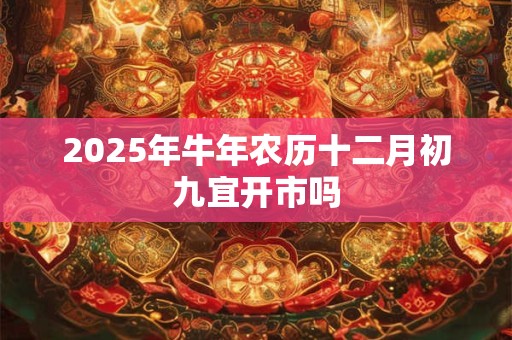 2026年牛年农历十二月初九宜开市吗
