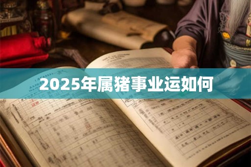 2025年属猪事业运如何 2025年属猪事业运如何