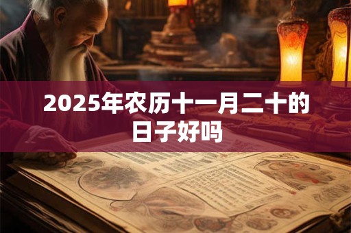 2025年农历十一月二十的日子好吗