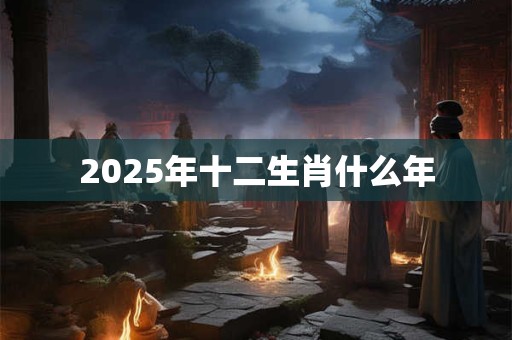 2025年十二生肖什么年 2025年十二生肖什么年