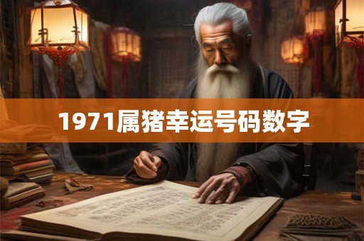 1971属猪幸运号码数字