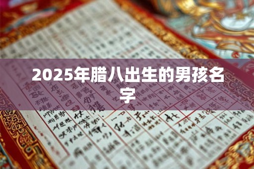 2025年腊八出生的男孩名字