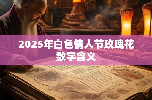 2025年白色情人节玫瑰花数字含义 2025年白色情人节玫瑰花数字含义