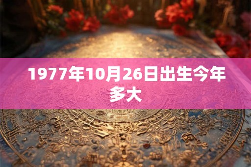 1977年10月26日出生今年多大