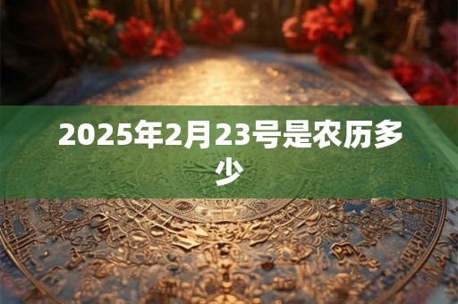2025年2月23号是农历多少
