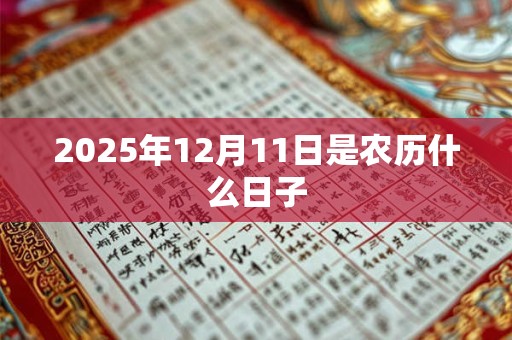 2026年12月11日是农历什么日子