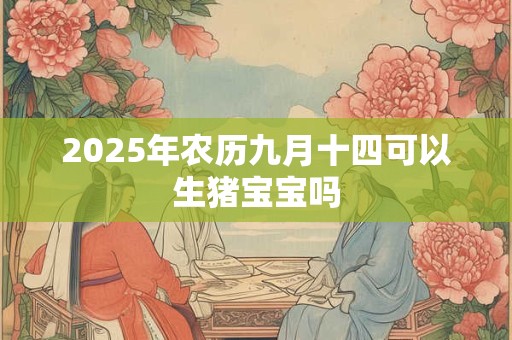 2025年农历九月十四可以生猪宝宝吗 2025年农历九月十四可以生猪宝宝吗