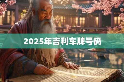 2025年吉利车牌号码