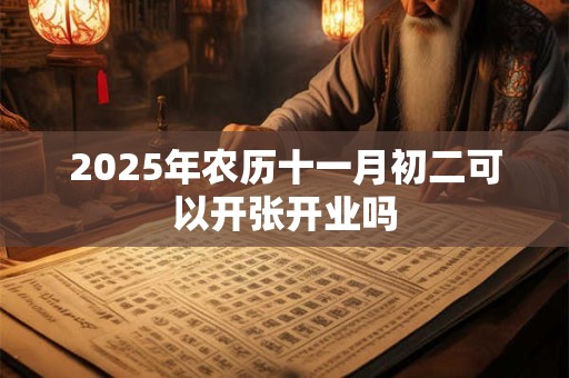 2026年农历十一月初二可以开张开业吗