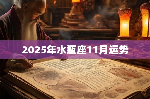 2025年水瓶座11月运势