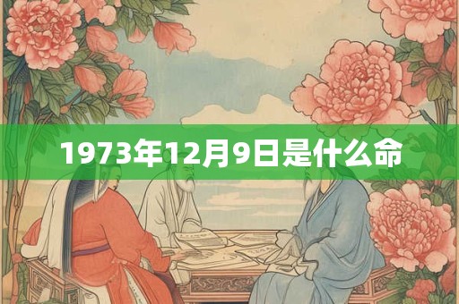1973年12月9日是什么命 1973年12月9日是什么命