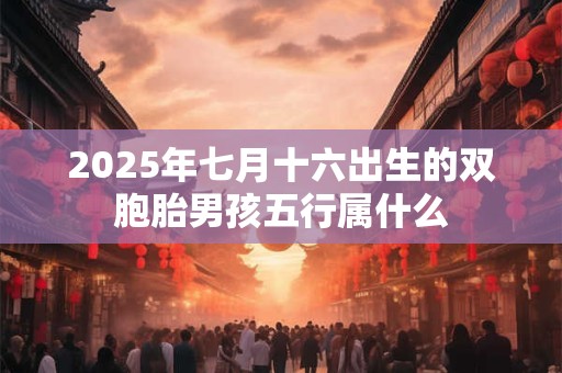 2025年七月十六出生的双胞胎男孩五行属什么 2025年七月十六出生的双胞胎男孩五行属什么