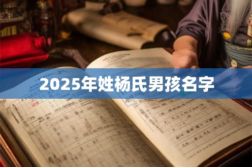2025年姓杨氏男孩名字 2025年姓杨氏男孩名字