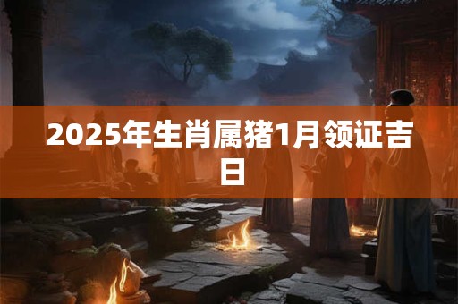 2025年生肖属猪1月领证吉日