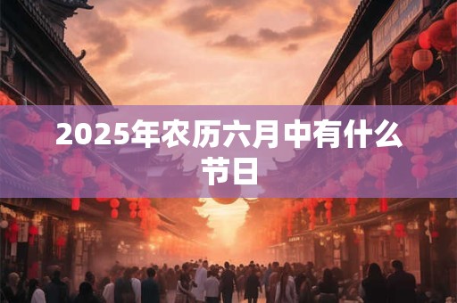 2025年农历六月中有什么节日