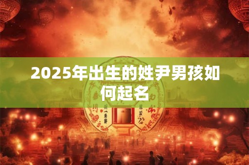 2025年出生的姓尹男孩如何起名 2025年出生的姓尹男孩如何起名