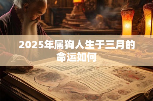 2025年属狗人生于三月的命运如何 2025年属狗人生于三月的命运如何