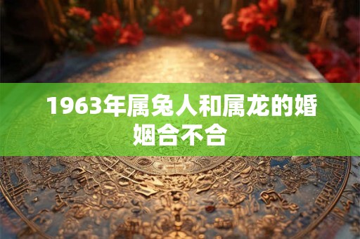 1963年属兔人和属龙的婚姻合不合