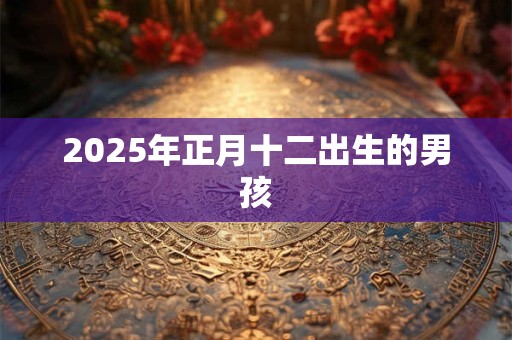 2025年正月十二出生的男孩