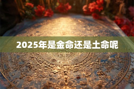 2025年是金命还是土命呢