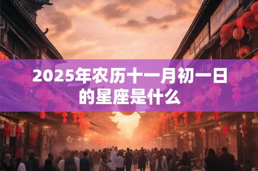 2025年农历十一月初一日的星座是什么