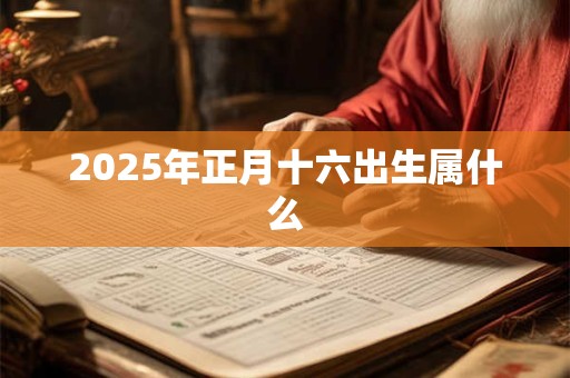 2025年正月十六出生属什么