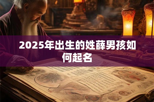 2025年出生的姓薛男孩如何起名 2025年出生的姓薛男孩如何起名