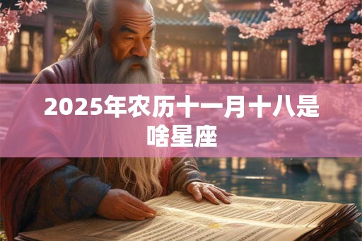 2025年农历十一月十八是啥星座