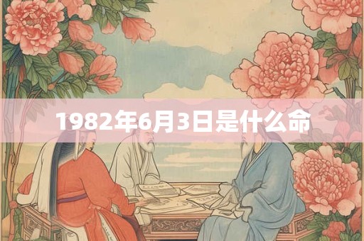 1982年6月3日是什么命 1982年6月3日是什么命
